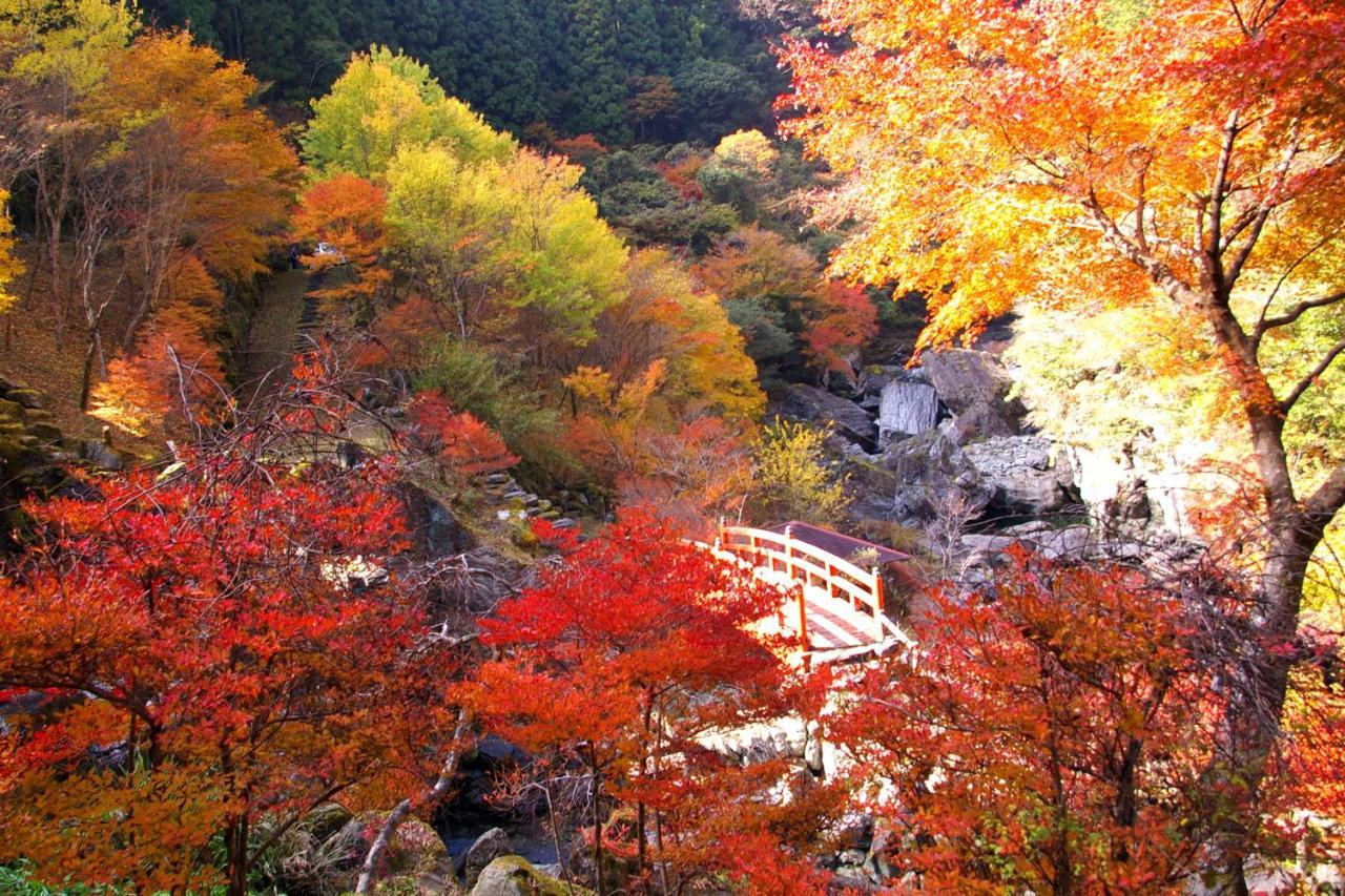 Nature Resort In Niyodo Niyodogawa Bagian luar foto