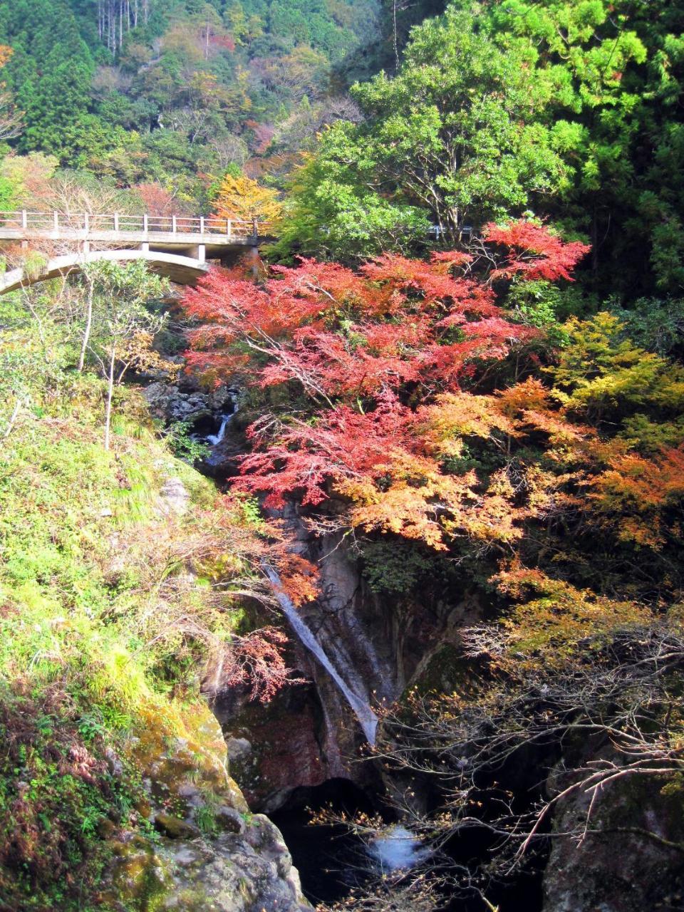 Nature Resort In Niyodo Niyodogawa Bagian luar foto